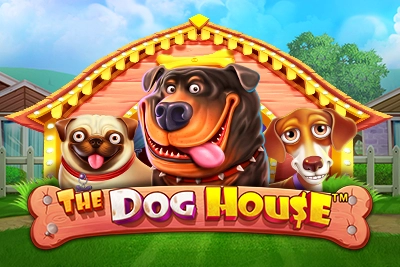 The Doge House Network Gaming